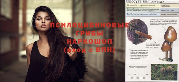 jwh Аркадак