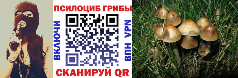 Псилоцибиновые грибы мухоморы Новое Девяткино